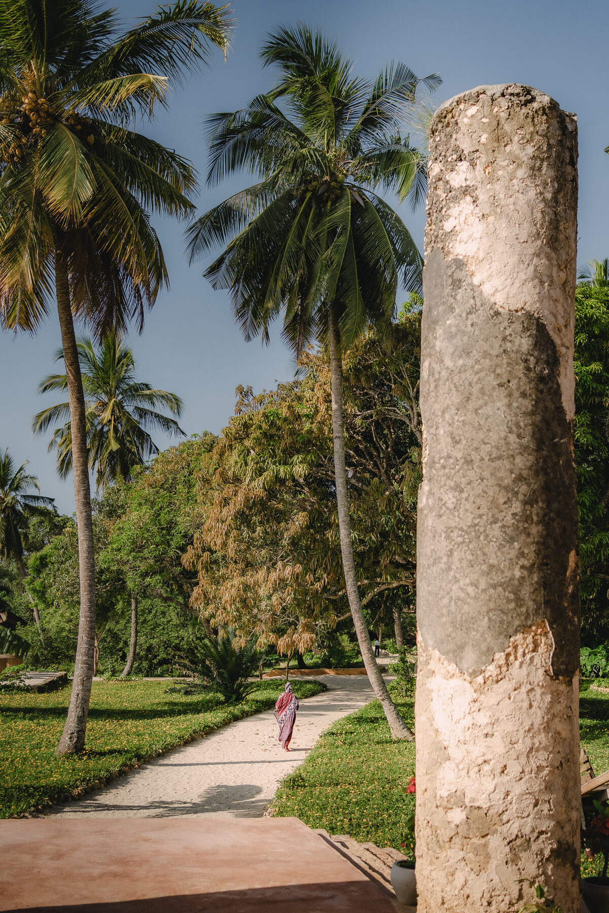 A leafy path winding through the tropical garden at Mangrove Lodge