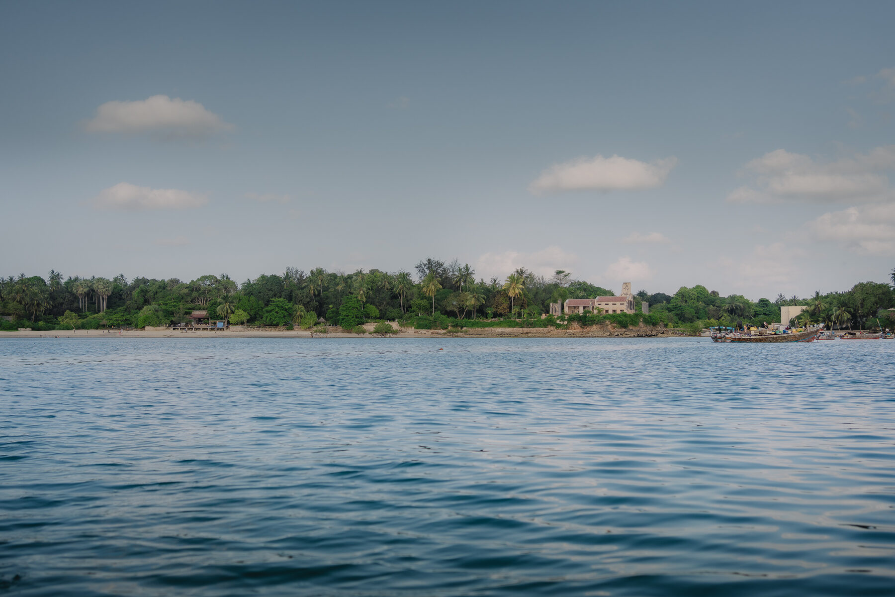 The green Zanzibar coastline seen from the sea