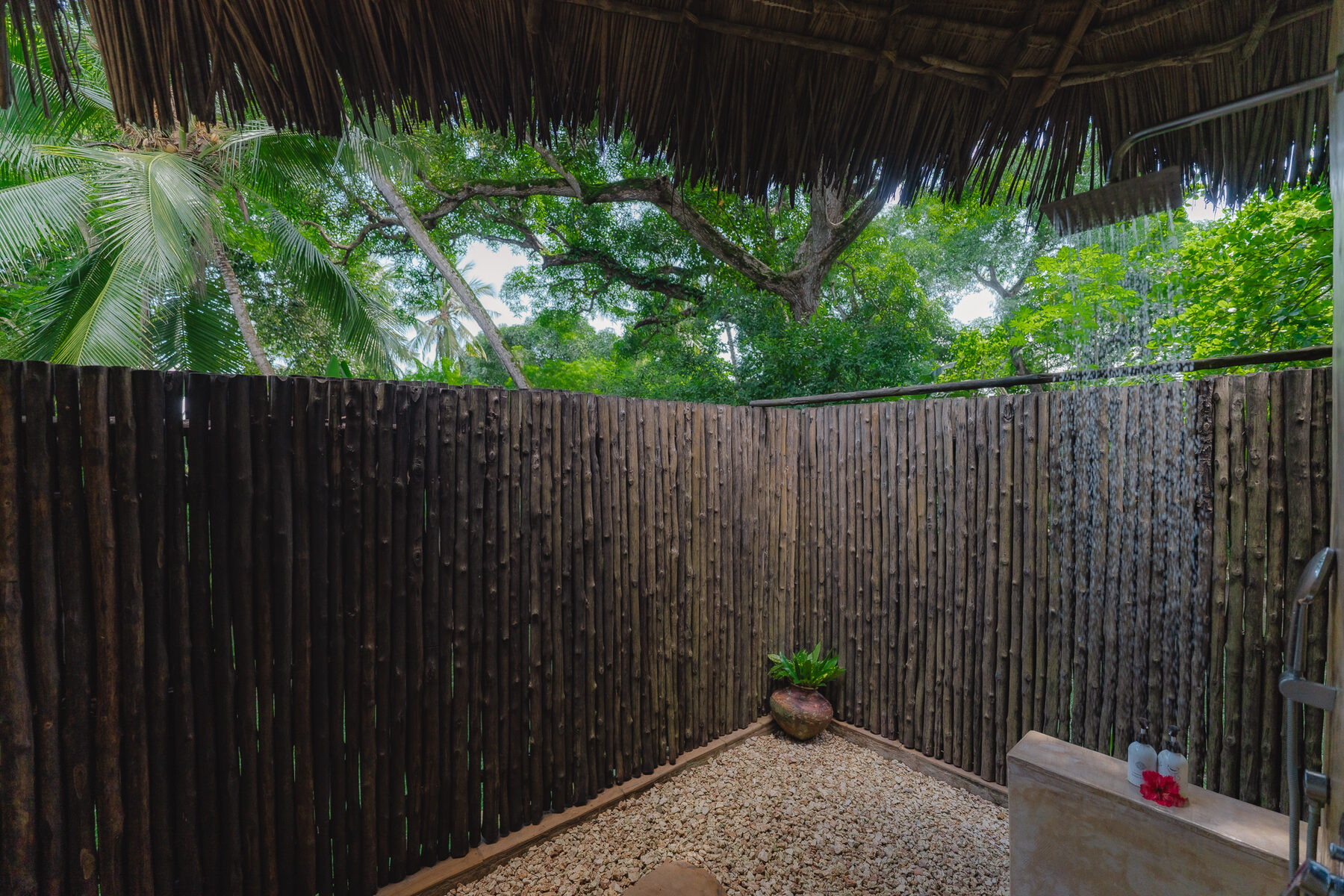 Outdoor shower surrounded by tropical greenery at Mangrove Lodge