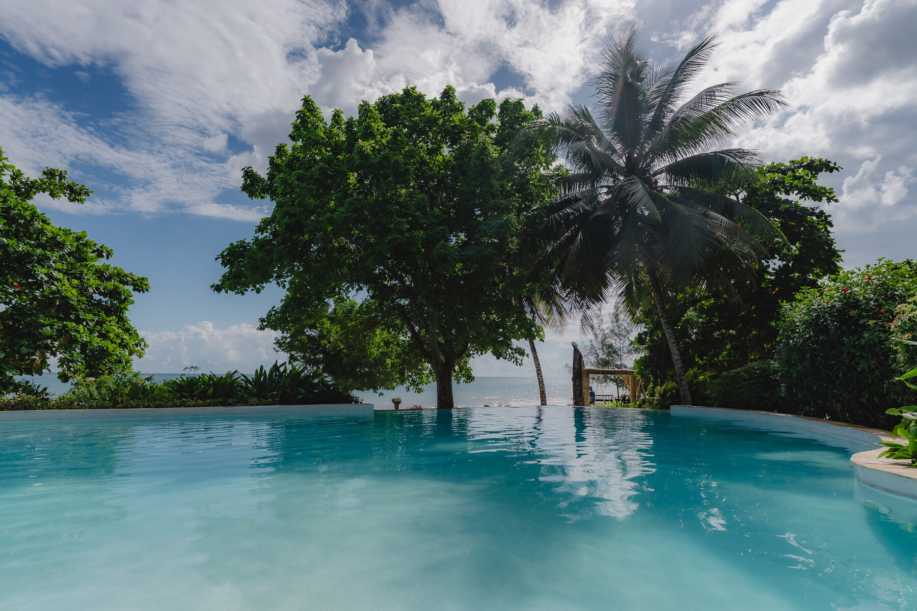 The Mangrove Lodge sea-view pool framed by tropical trees